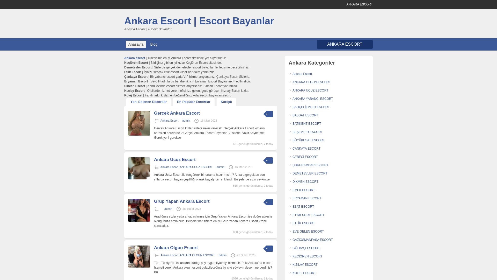 Status do site ankarabayan.org está   ONLINE