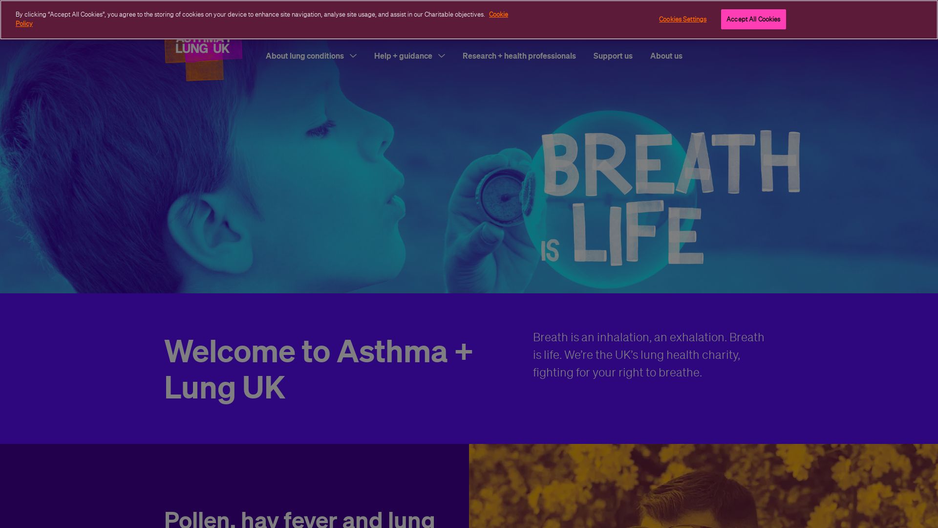 Status do site asthma.org.uk está   ONLINE