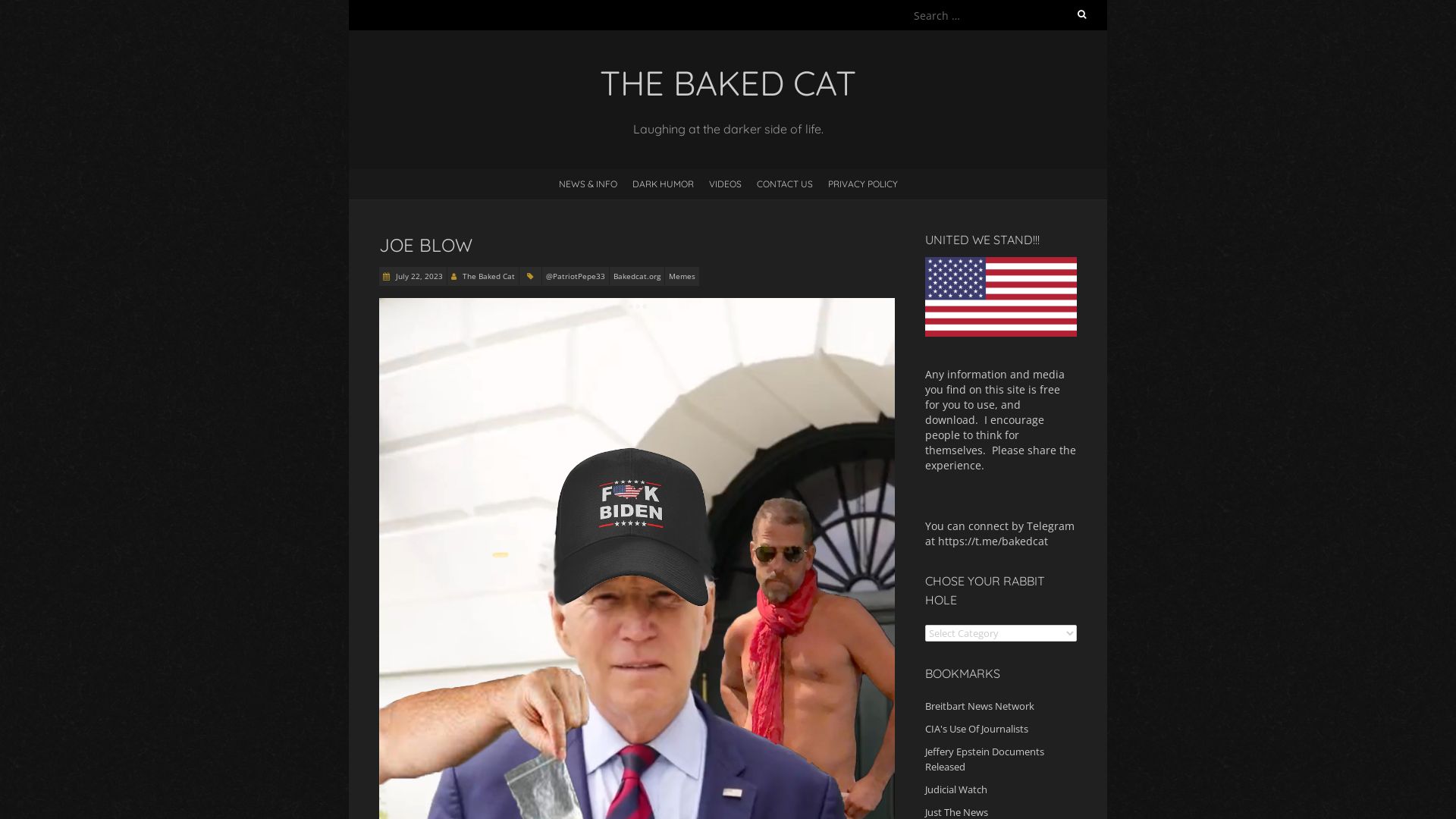 Status do site bakedcat.org está   ONLINE