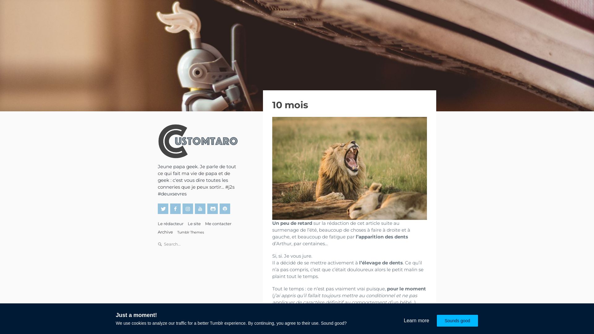 Status do site customtaro.fr está   ONLINE