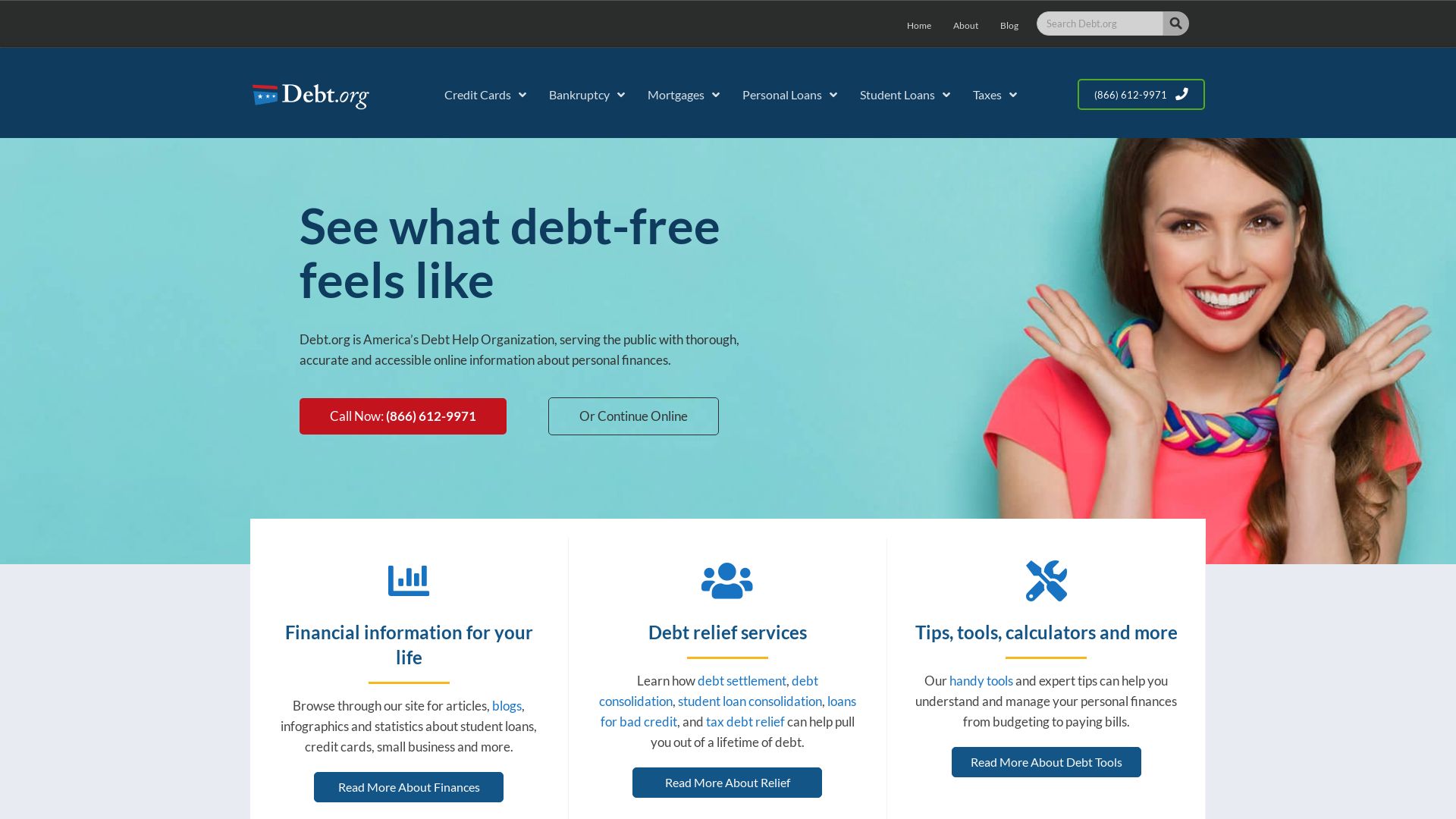 Status do site debt.org está   ONLINE