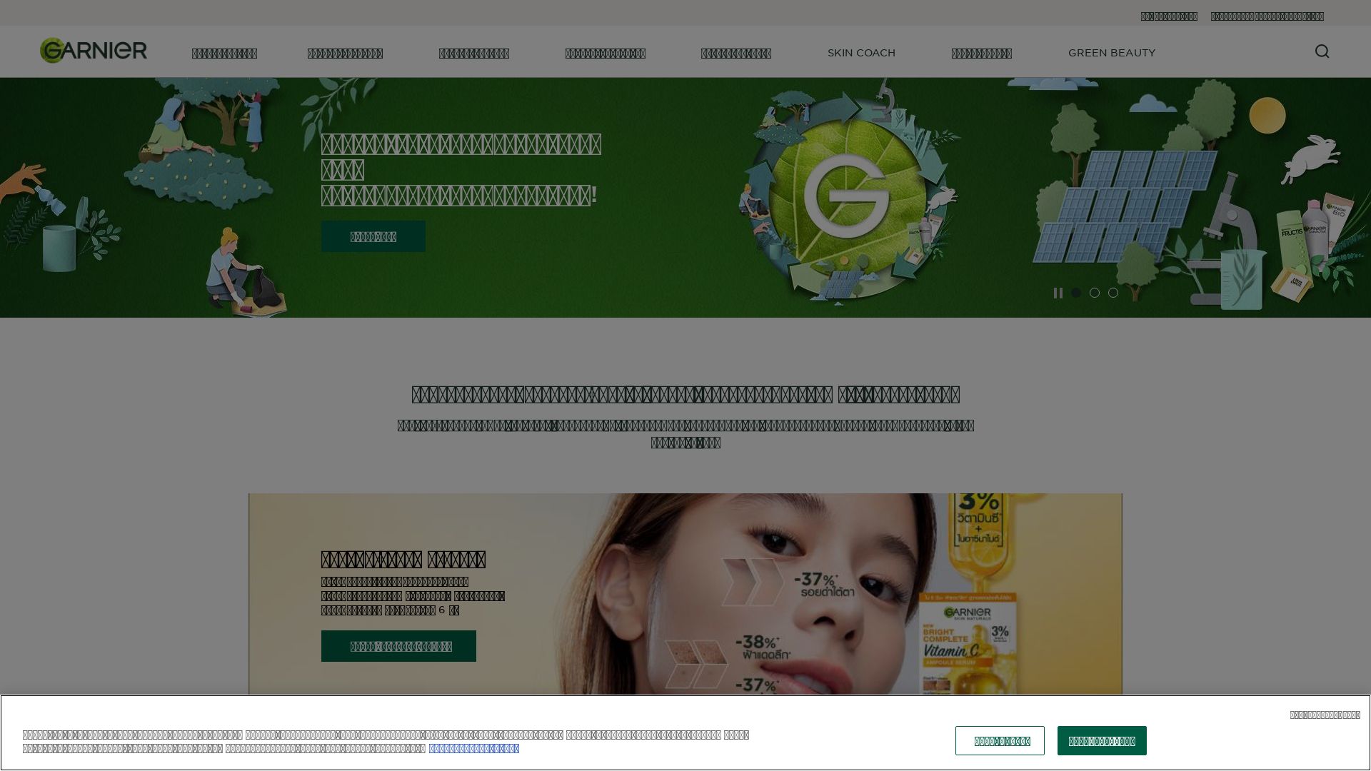 Status do site garnier.co.th está   ONLINE