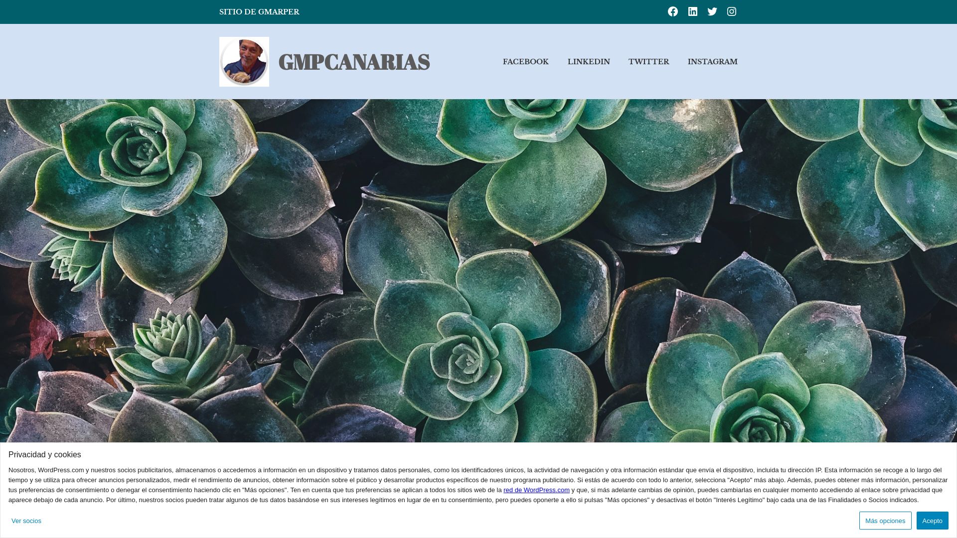 Status do site gmpcanarias.wordpress.com está   ONLINE