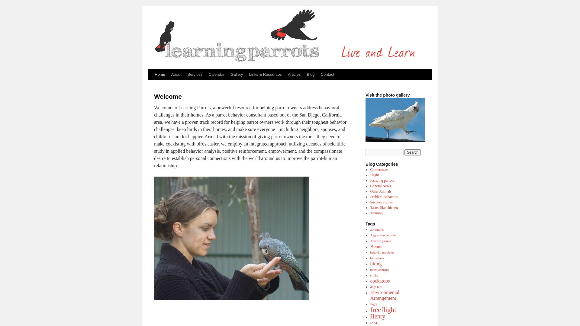 Status do site learningparrots.com está   ONLINE