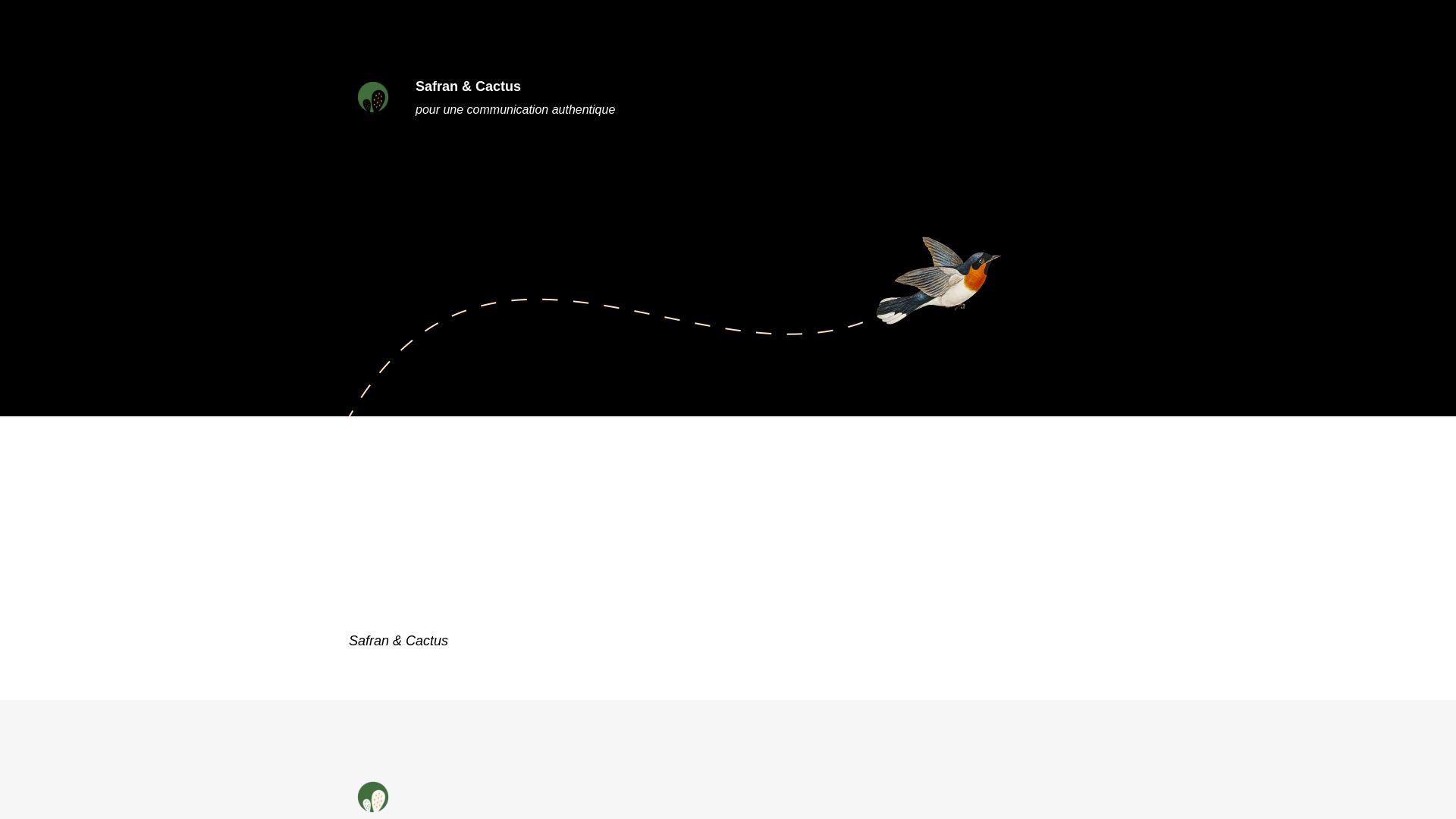 Status do site safranetcactus.fr está   ONLINE
