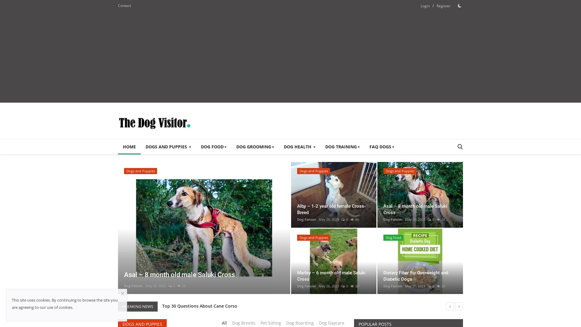 Status do site thedogvisitor.com está   ONLINE