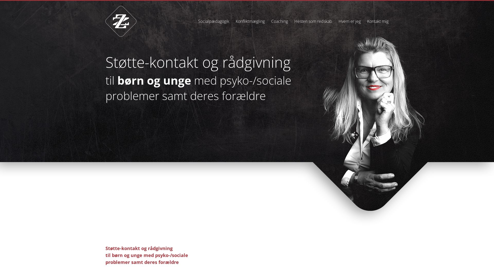 Status do site zarp-zone.dk está   ONLINE